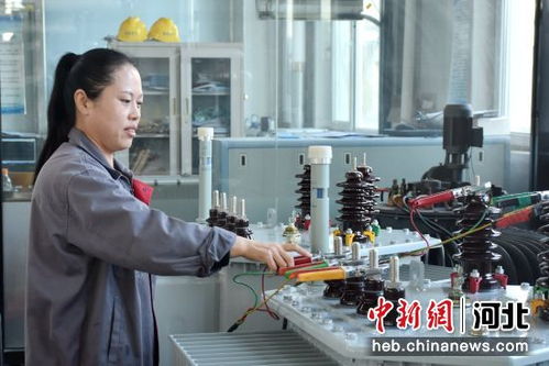 河北清苑 绿色工厂为经济发展注入新动能，商务咨询保驾护航